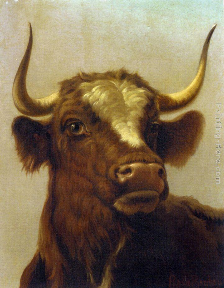 Rosa Bonheur Head of a Bull